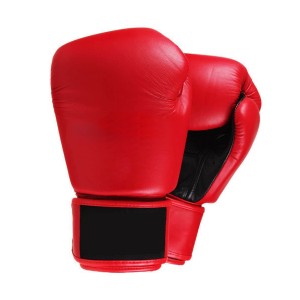 Muay Thai Glove